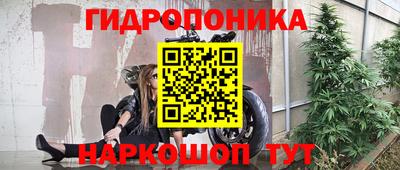 крисы Канаш