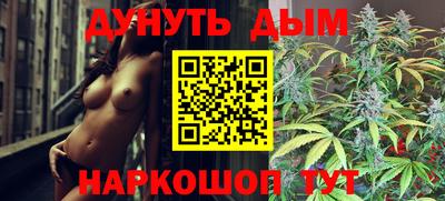 spice Камышлов