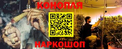 крисы Канаш