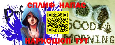 spice Камышлов