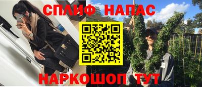 spice Камышлов