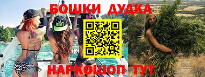 spice Камышлов