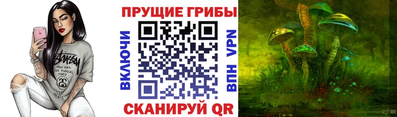 Псилоцибиновые грибы прущие грибы  Кыштым 
