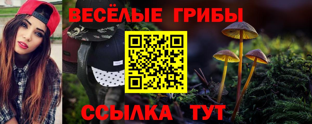купить наркотики цена  Псилоцибиновые грибы мицелий  Кыштым  Вход с VPN  Псилоцибиновые грибы мицелий 