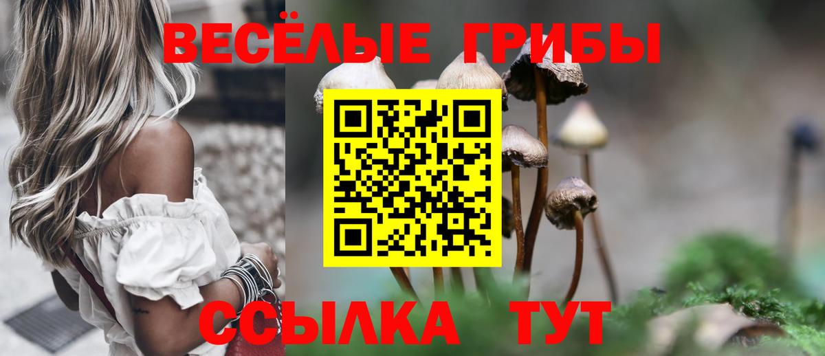 Галлюциногенные грибы Psilocybe Кыштым