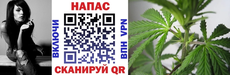 Шишки марихуана семена  Кыштым 